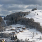 DJI_20251118120419_0023_D
