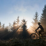 Horizontal snapshot of man riding his bike in the mountains in early foggy morning. Sun beams get through wall of evergreen spruces and enlight silhouette of cyclist. Concept of mountains ride